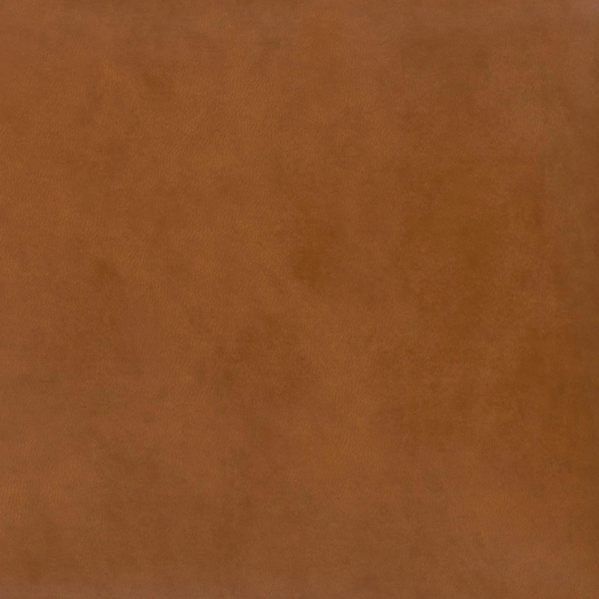 Nola Modern Futon, Camel Faux Leather