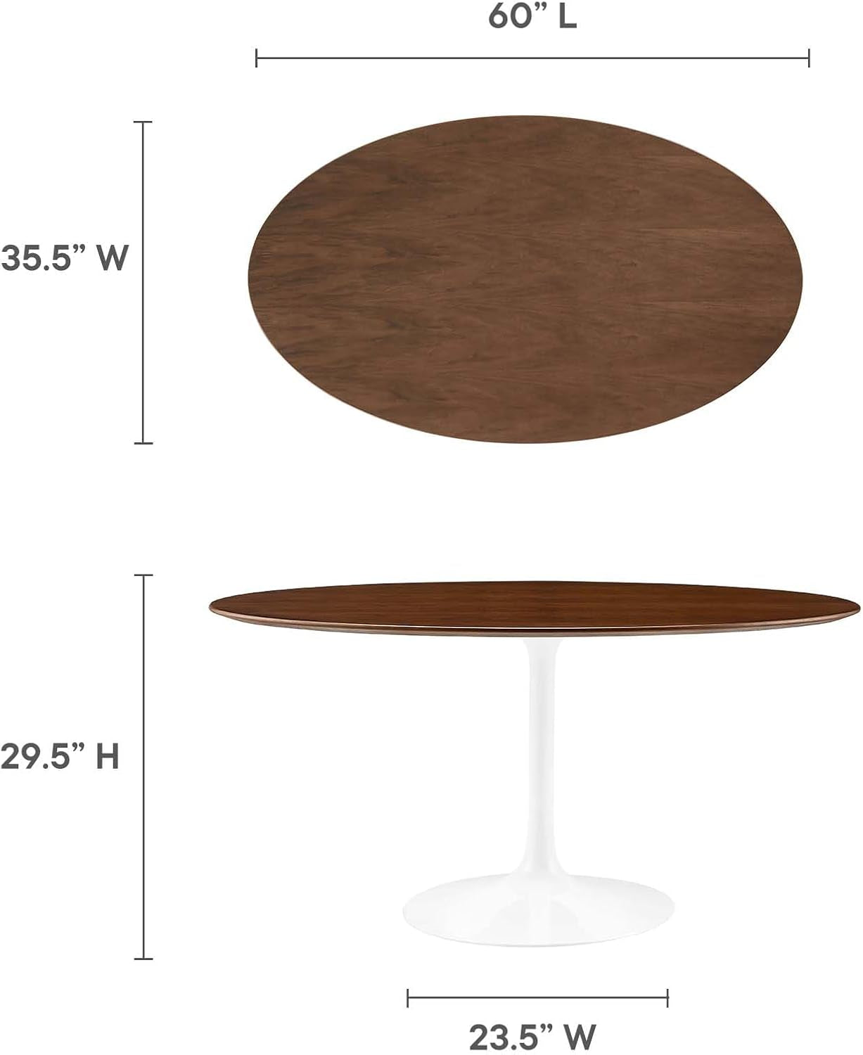 Lippa 60" Mid-Century Modern Dining Table with Oval Top in Walnut