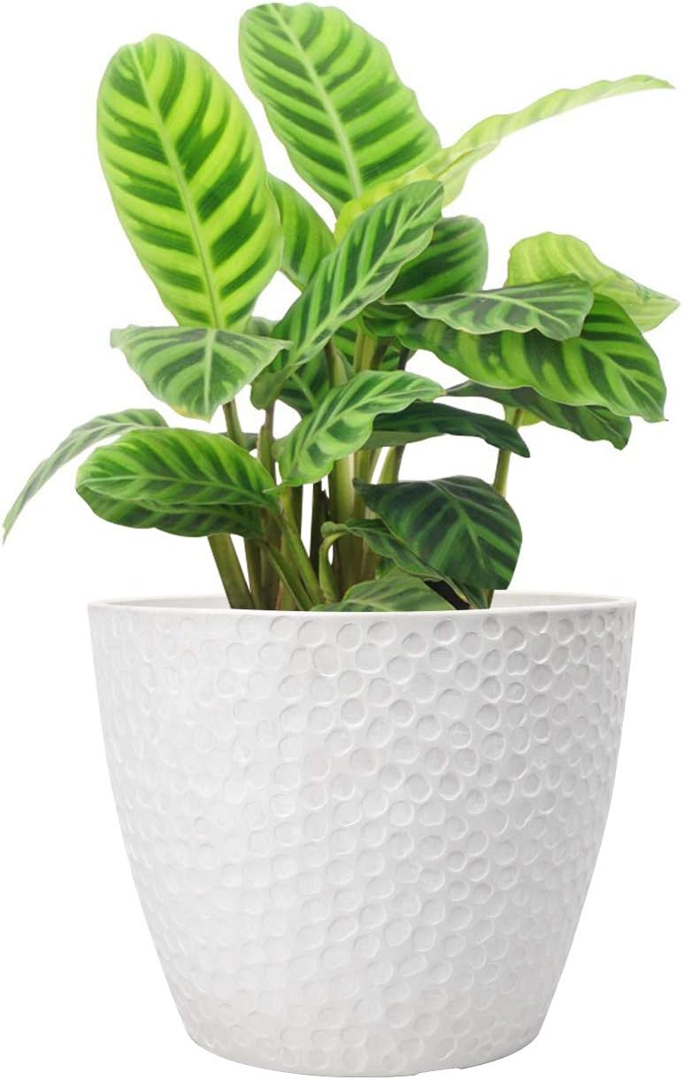 Outdoor Indoor Tree Planters,14 Inch Large Planter Flower Pots,Modern Decorative White Planter Pot for House Plants,Honeycomb