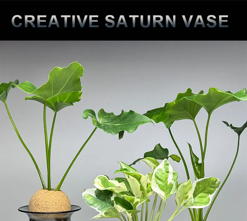 Nordic Glass Vase